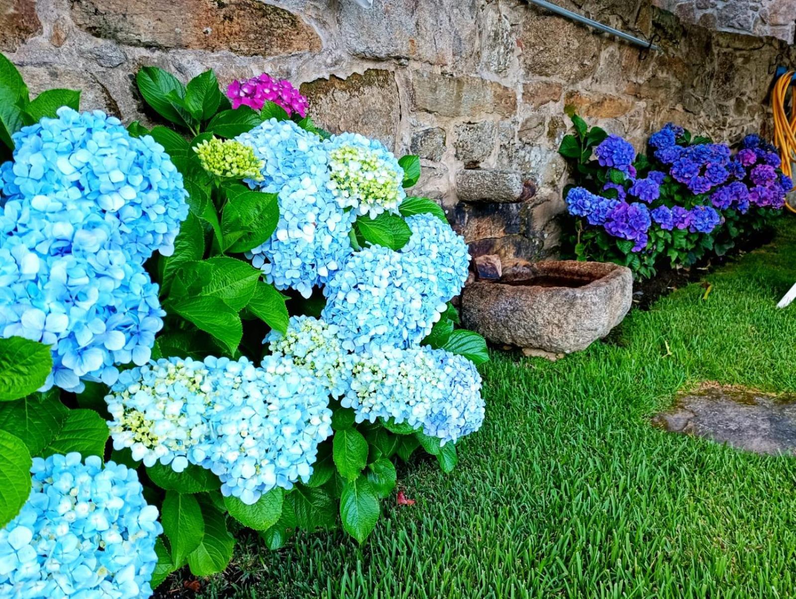Remanso Azul Villa Moaña Екстериор снимка